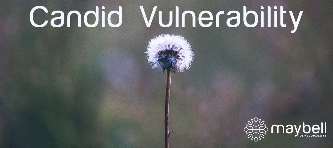 Candid Vulnerability Blog Image