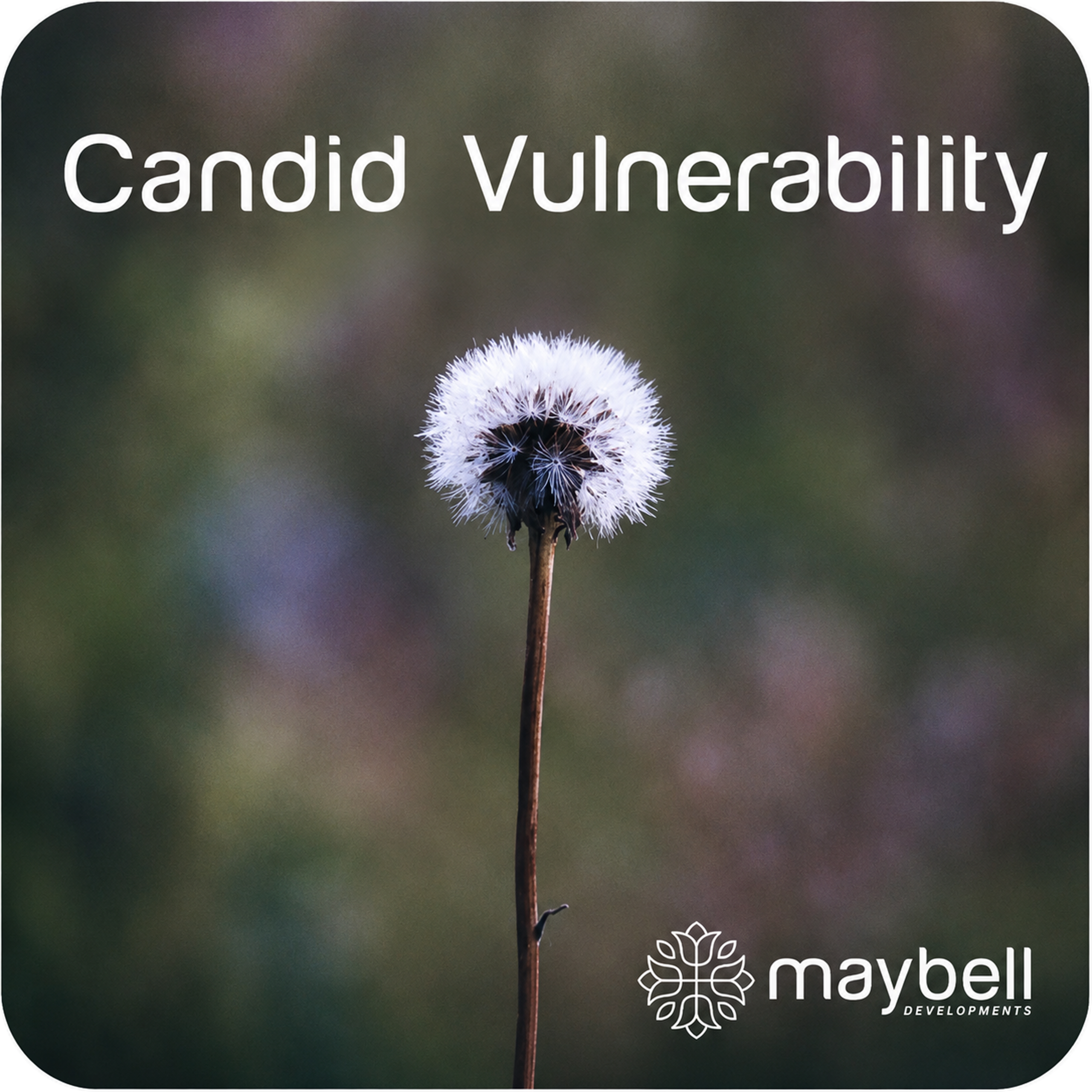 candid vulnerability
